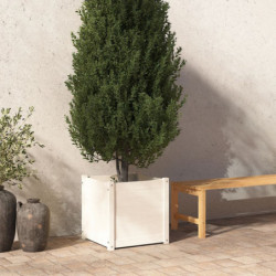 Pflanzkübel Weiß 50x50x50...