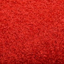 Fußmatte Waschbar Rot 90x120 cm