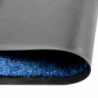 Fußmatte Waschbar Blau 40x60 cm