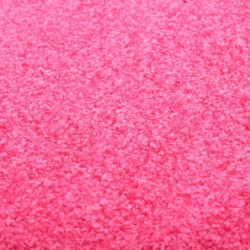 Fußmatte Waschbar Rosa 60x90 cm