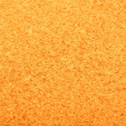 Fußmatte Waschbar Orange 120x180 cm