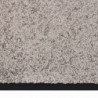 Fußmatte 80x120 cm Grau