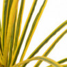 Künstliche Pflanze Dracaena mit Topf Gelb 125 cm