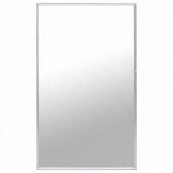 Spiegel Silbern 100x60 cm