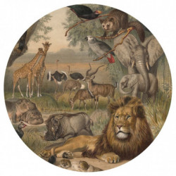 WallArt Fototapete Animals of Africa Rund 142,5 cm
