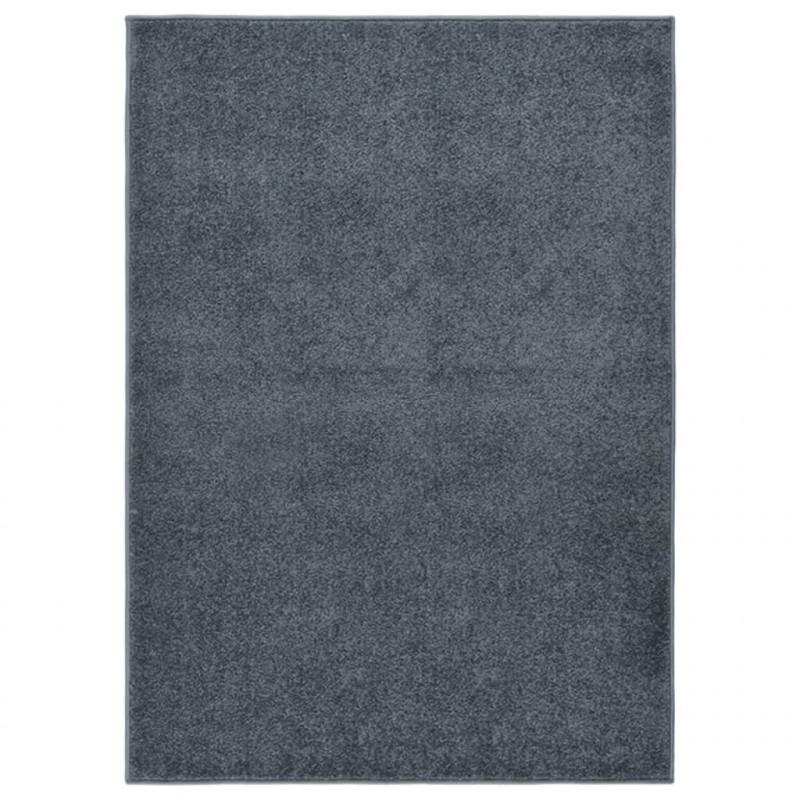 Teppich Kurzflor 120x170 cm Anthrazit