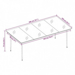 Garten-Esstisch Schwarz 200x100x74 cm Stahl und Glas