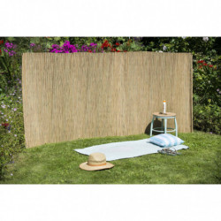 Nature Gartenzaun Riedgras 1,2x3 m