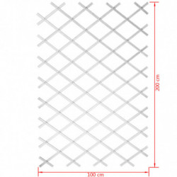 Nature Garten-Rankgitter 100x200 cm PVC Weiß 6040703