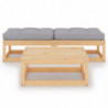 3-tlg. Garten-Lounge-Set Carry mit Kissen Kiefer Massivholz