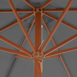 Sonnenschirm mit Holz-Mast 300 cm Anthrazit