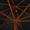 Sonnenschirm mit Holzmast 350 cm Schwarz
