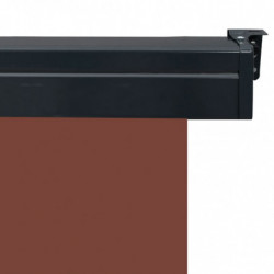 Balkon-Seitenmarkise 60 × 250 cm Braun