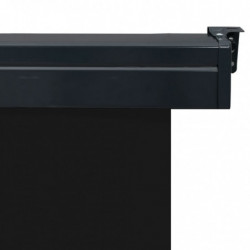 Balkon-Seitenmarkise 80 × 250 cm Schwarz