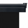 Balkon-Seitenmarkise 100 × 250 cm Schwarz