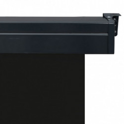 Balkon-Seitenmarkise 140 × 250 cm Schwarz