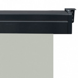 Balkon-Seitenmarkise 170 × 250 cm Grau