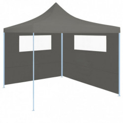 Pavillon-Seitenwand mit Fenstern 6x2 m Anthrazit