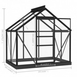 Glas Gewächshaus Anthrazit 155x103x191 cm Aluminium