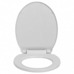 Toilettensitz mit Absenkautomatik Quick-Release Hellgrau Oval