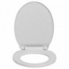 Toilettensitz mit Absenkautomatik Quick-Release Hellgrau Oval