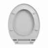 Toilettensitz mit Absenkautomatik Quick-Release Hellgrau Oval