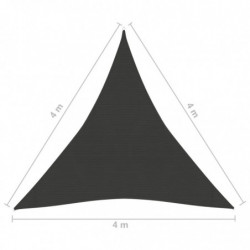 Sonnensegel 160 g/m² Anthrazit 4x4x4 m HDPE