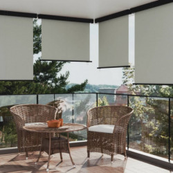 Balkon-Seitenmarkise 140x250 cm Grau