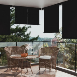 Balkon-Seitenmarkise 160 × 250 cm Schwarz