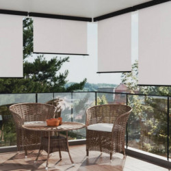 Balkon-Seitenmarkise 160 × 250 cm Creme
