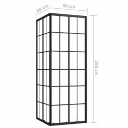 Duschkabine ESG 80x80x180 cm