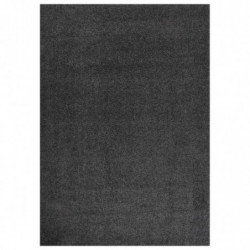 Teppich Shaggy Hochflor Anthrazit 120x170 cm