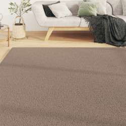 Teppich Shaggy Hochflor Beige 160x230 cm