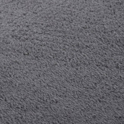 Teppich Shaggy Waschbar Weich 120x170 cm Rutschfest Anthrazit