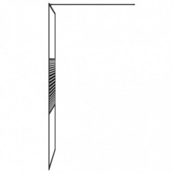 Duschwand für Begehbare Dusche Schwarz 100x195 cm ESG-Glas Klar