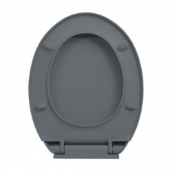 Toilettensitz mit Absenkautomatik Quick-Release Grau Oval