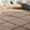 Teppich Shaggy Hochflor Beige und Anthrazit 160x230 cm