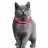 Karlie Visio Light Cat LED-Schlauch mit USB - Orange