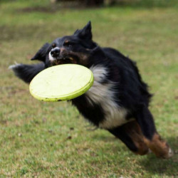 PROCYON TPR Frisbee
