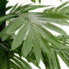 Künstliche Palme mit 252 LEDs Warmweiß 400 cm