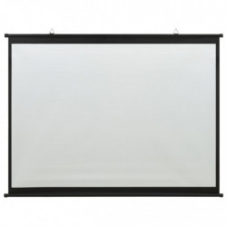 Beamer Leinwand 50" 1:1