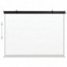 Beamer Leinwand 50" 1:1