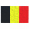 Belgische Flagge mit Mast 6,23 m Aluminium