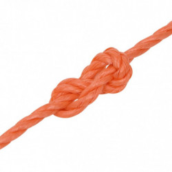 Arbeitsseil Orange 6 mm 100 m Polypropylen