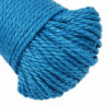 Arbeitsseil Blau 8 mm 25 m Polypropylen