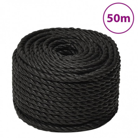 Arbeitsseil Schwarz 12 mm 50 m Polypropylen