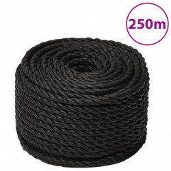 Arbeitsseil Schwarz 10 mm...
