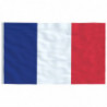 Französische Flagge mit Mast 6,23 m Aluminium