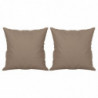 Sofakissen 2 Stk. Taupe 40x40 cm Mikrofasergewebe