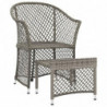 2-tlg. Garten-Lounge-Set mit Kissen Grau Poly Rattan